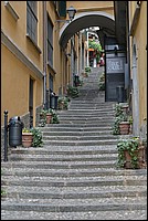 DSC_7328.JPG