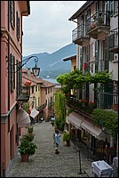 DSC_7337.JPG