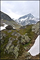 DSC_7390G.jpg