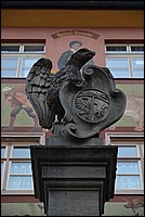DSC_1451.JPG