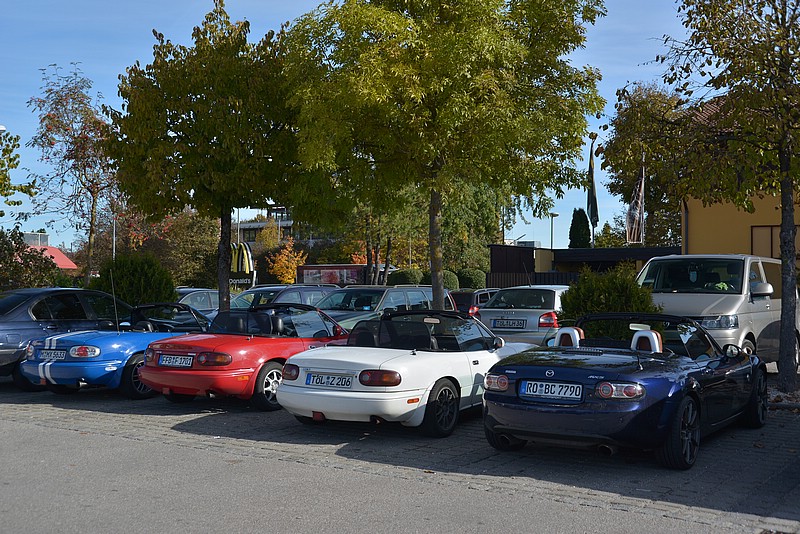 DSC_1661.JPG