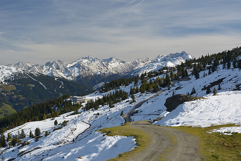 DSC_1736.JPG