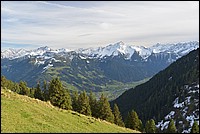 DSC_1773.JPG