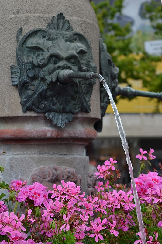 DSC_0159CD.jpg
