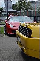 DSC_0063D.jpg