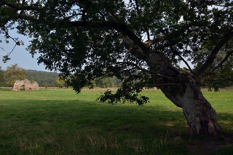 DSC_1998KCo2.jpg