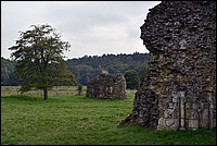 DSC_1947KCo.jpg