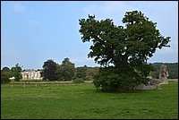 DSC_1968KF.jpg