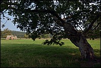 DSC_1998KCo2.jpg
