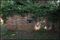DSC_2038.JPG