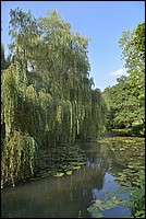 DSC_2048.JPG