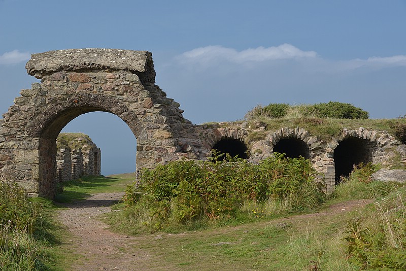 DSC_5583.JPG