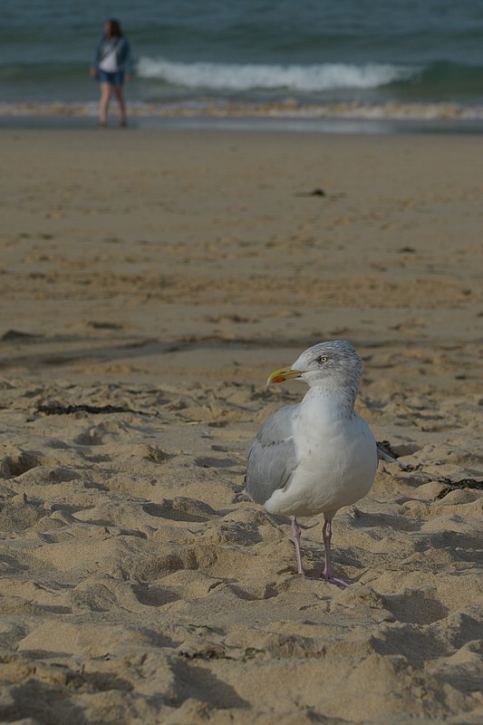 DSC_5679C.jpg