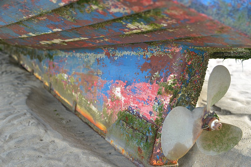 DSC_5735.JPG