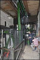 DSC_5530.JPG