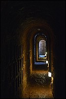 DSC_5561DG.jpg