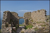 DSC_5575.JPG