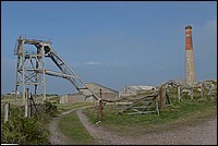 DSC_5579D.jpg