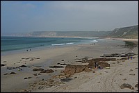 DSC_5585K.jpg