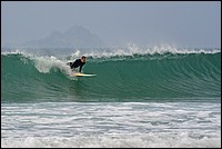 DSC_5626CDGK.jpg