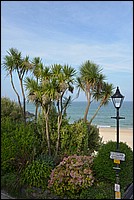DSC_5664.JPG
