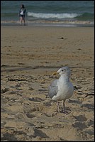 DSC_5679C.jpg