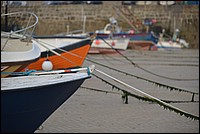 DSC_5751.JPG