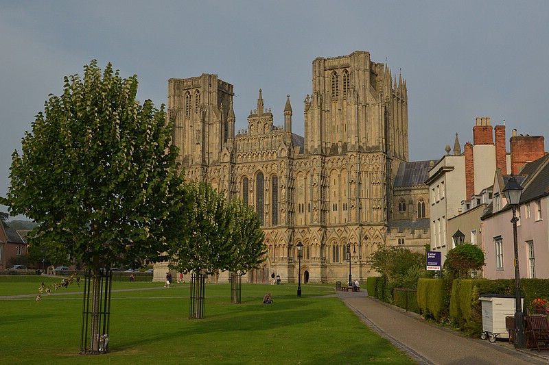 DSC_5987DC.jpg