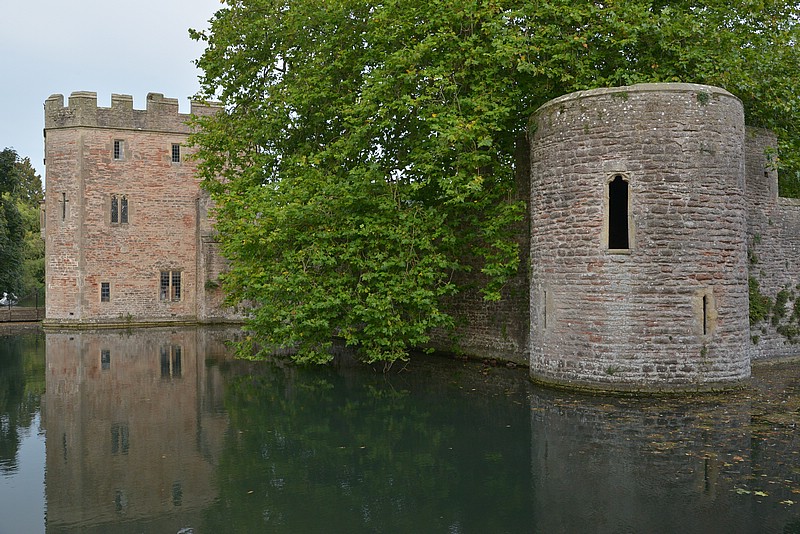 DSC_6051.JPG