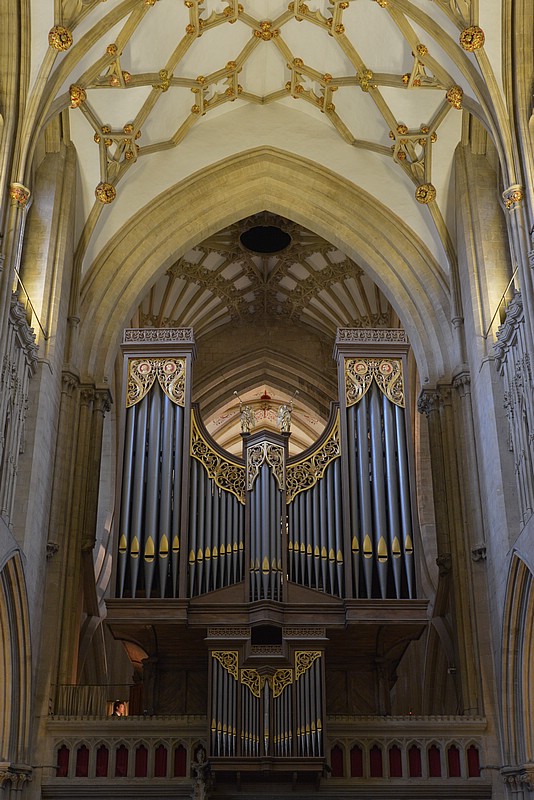 DSC_6073.JPG