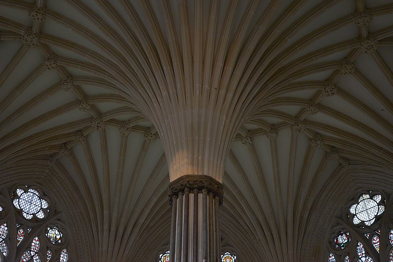 DSC_6101_RAW.jpg