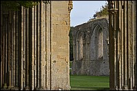 DSC_5917DG.jpg