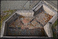 DSC_5923G.jpg