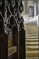 DSC_6082D_RAW.jpg