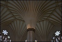 DSC_6101_RAW.jpg