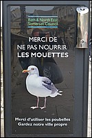 DSC_6160C.jpg