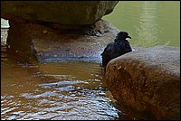 DSC_6366C_RAW.jpg
