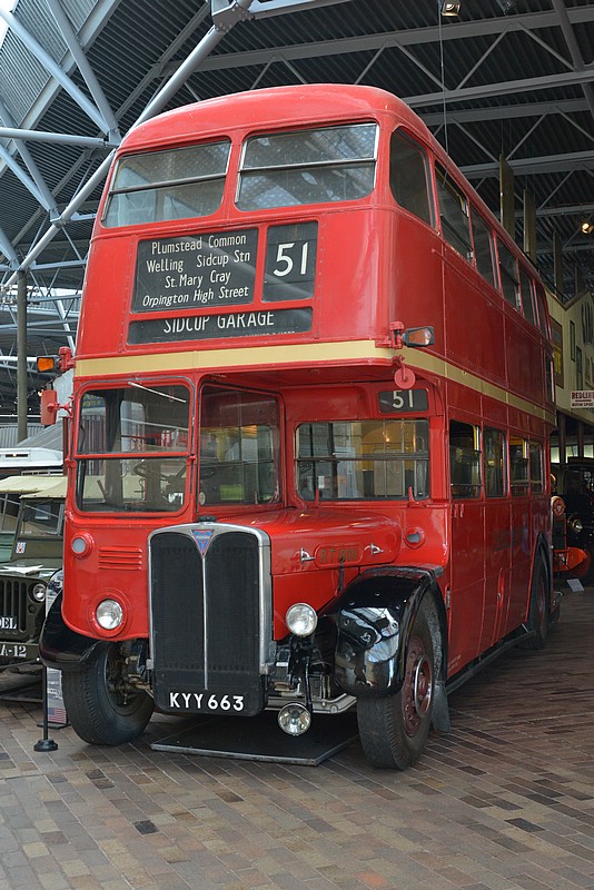 DSC_6703.JPG