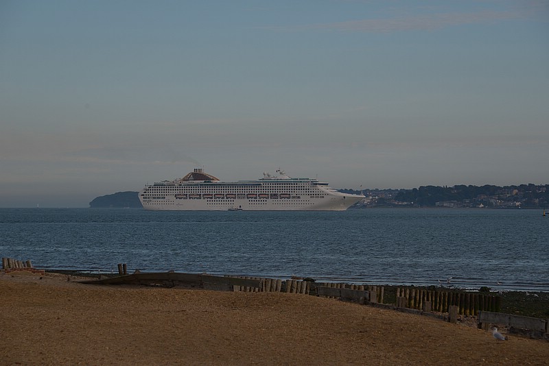 DSC_6780.JPG