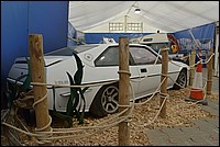 DSC_6755D.jpg