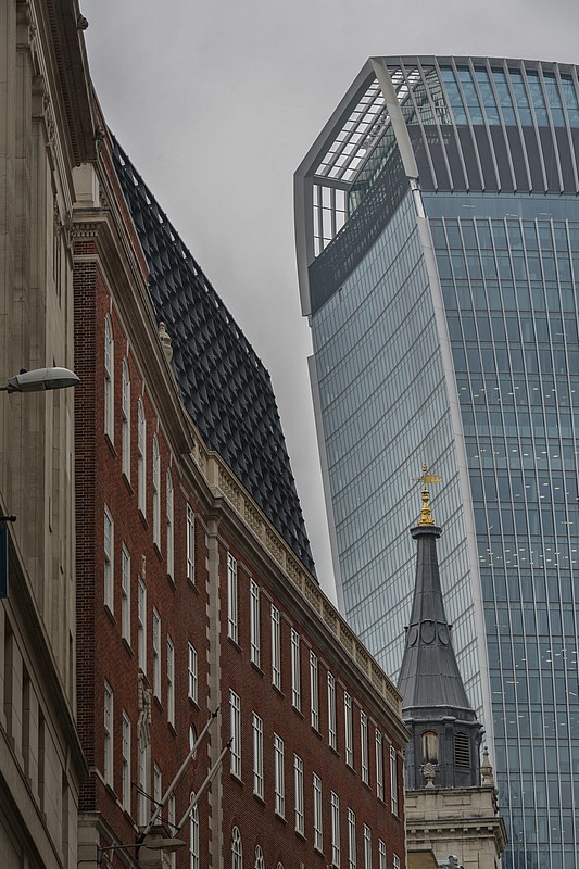 DSC_6875C_RAW.jpg