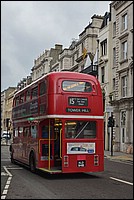 DSC_6816D_RAW.jpg