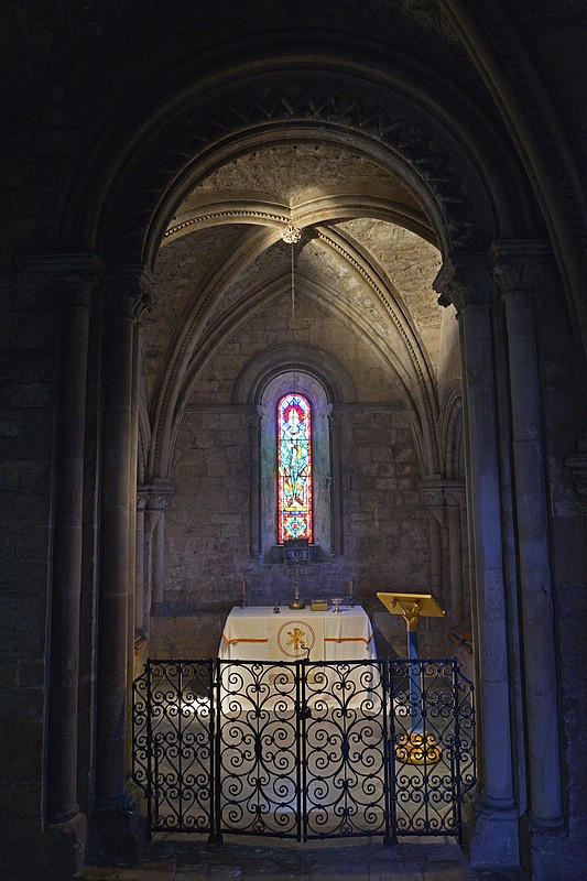 DSC_2185DG.jpg