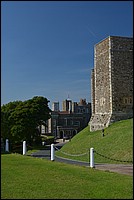 DSC_2214.JPG