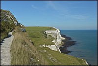 DSC_2315.JPG