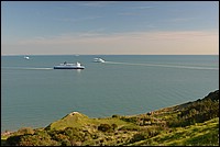 DSC_2319.JPG