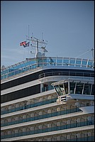 DSC_2376C.jpg