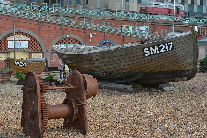 DSC_2442.JPG