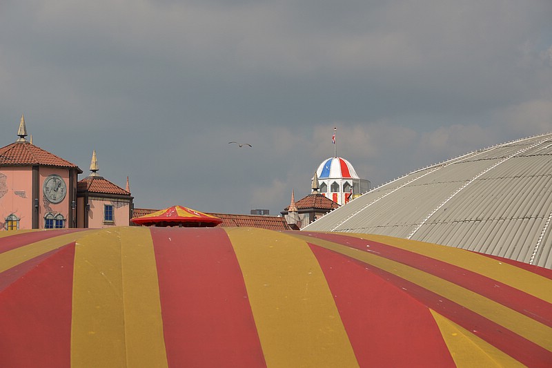 DSC_2474D.jpg