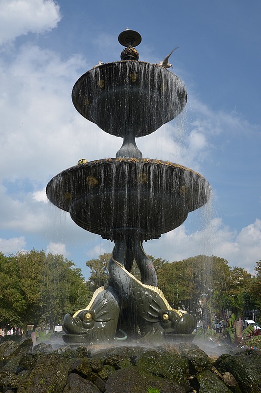 DSC_2566C.jpg